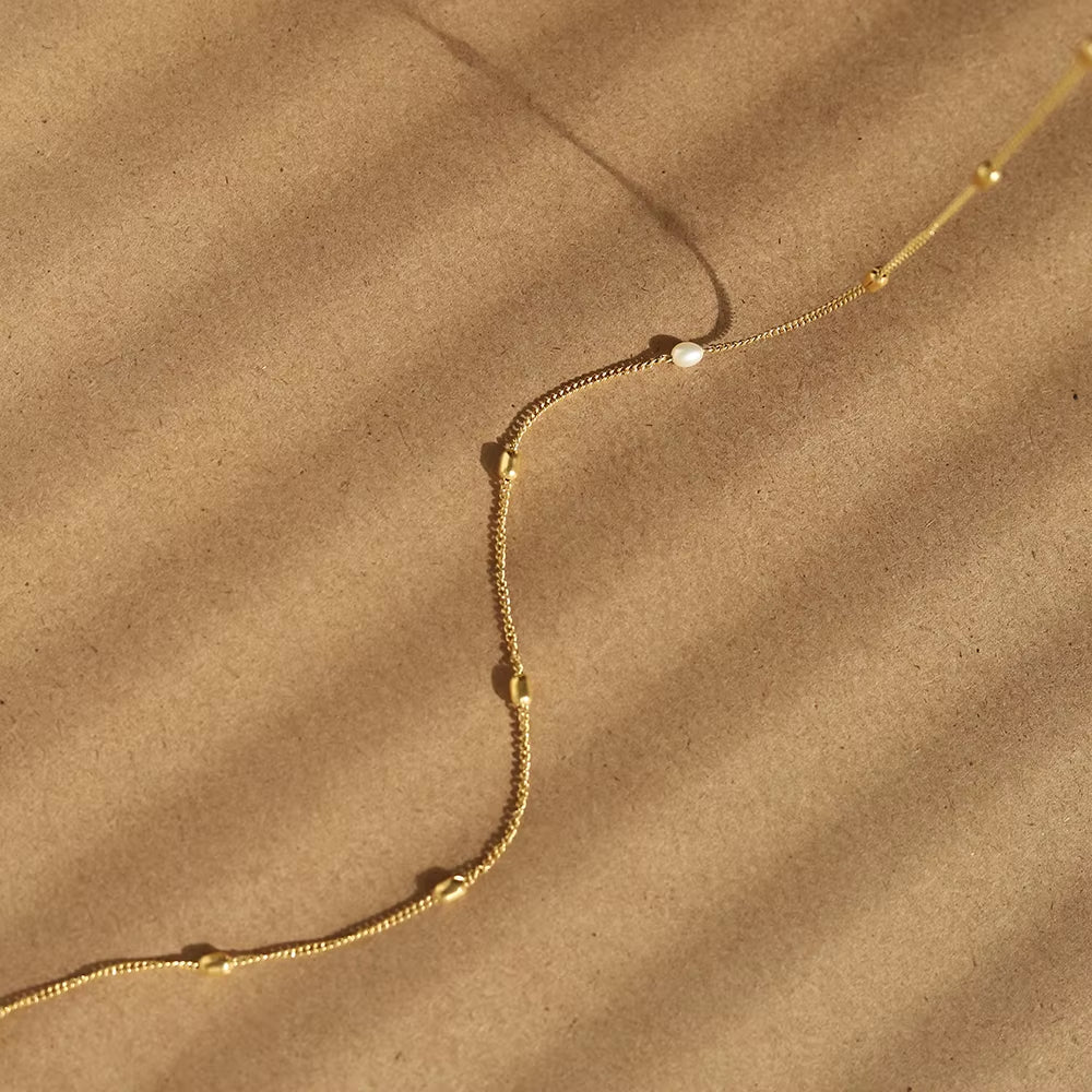 Natural Freshwater Pearl Simple Rice Bead Necklace Clavicle Chain for Women Temperament Stainless Steel Plated 18K Gold Jewelry