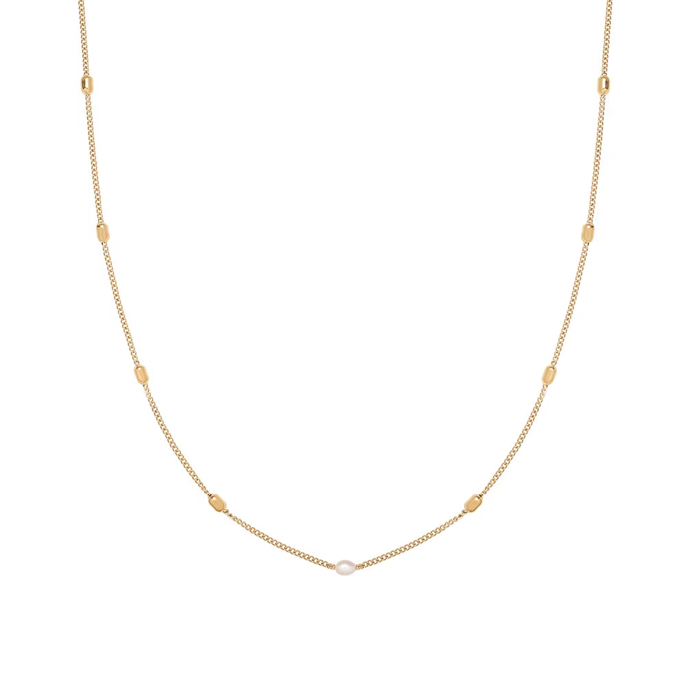 Natural Freshwater Pearl Simple Rice Bead Necklace Clavicle Chain for Women Temperament Stainless Steel Plated 18K Gold Jewelry